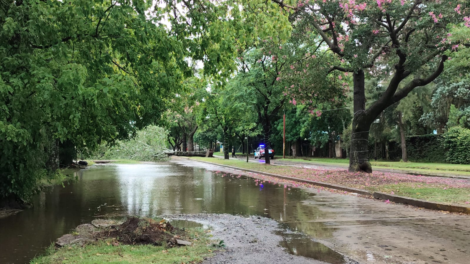 Temporal en Funes: lluvia, granizo y ráfagas de viento de casi 100km/h, todo en dos horas